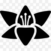 ����ͼ��-������