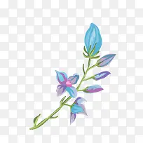 手绘植物-空若网 手绘植物-空若网