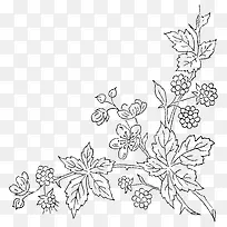 手绘植物-空若网 手绘植物-空若网