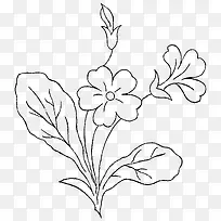 �ֻ�ֲ��-������