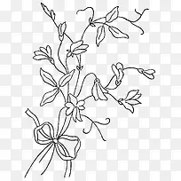 �ֻ�ֲ��-������