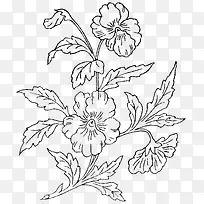 手绘植物-空若网 手绘植物-空若网