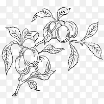 �ֻ�ֲ��-������