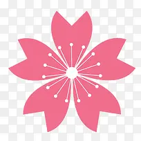 粉红色开花的花朵-空若网 粉红色开花的花朵-空若网