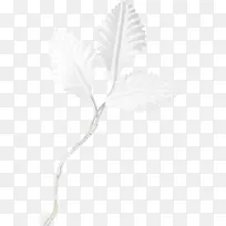 白色叶子素材-空若网 白色叶子素材-空若网