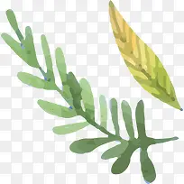 手绘叶子-空若网 手绘叶子-空若网