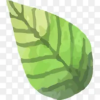 �ֻ�Ҷ��-������