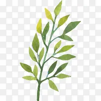 手绘叶子-空若网 手绘叶子-空若网