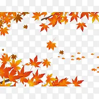 手绘卡通立秋叶子-空若网 手绘卡通立秋叶子-空若网