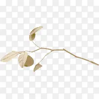 手绘树枝-空若网 手绘树枝-空若网