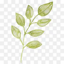 手绘树枝-空若网 手绘树枝-空若网