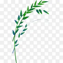 ��֦-������