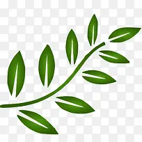 绿色橄榄叶子-空若网 绿色橄榄叶子-空若网