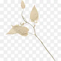 装饰树枝-空若网 装饰树枝-空若网
