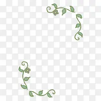 ��֦�߿�-������