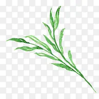 手绘树枝-空若网 手绘树枝-空若网