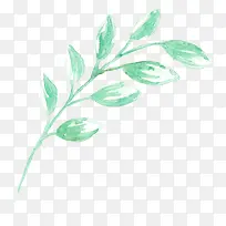 手绘叶子-空若网 手绘叶子-空若网