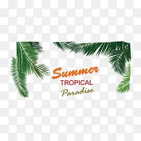 叶子树矢量下载-空若网 叶子树矢量下载-空若网