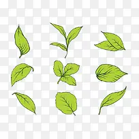 叶子-空若网 叶子-空若网