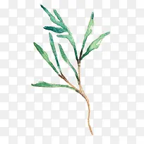 水彩叶子-空若网 水彩叶子-空若网