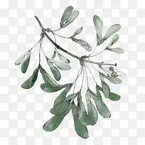 水彩叶子-空若网 水彩叶子-空若网