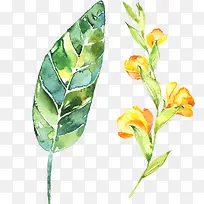 水彩叶子-空若网 水彩叶子-空若网