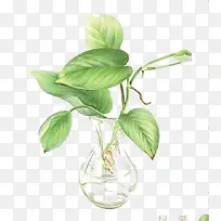 水彩叶子-空若网 水彩叶子-空若网