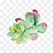 Ë®²ÊÊÖ»æ-¿ÕÈôÍø Ë®²ÊÊÖ»æ-¿ÕÈôÍø