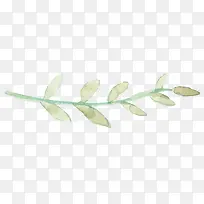 水彩叶子-空若网 水彩叶子-空若网