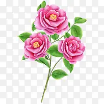 手绘树枝-空若网 手绘树枝-空若网