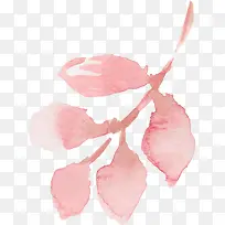 ˮ��Ҷ��-������