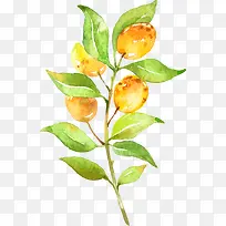 水彩叶子-空若网 水彩叶子-空若网