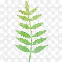 水彩叶子-空若网 水彩叶子-空若网