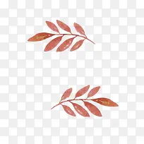 手绘叶子-空若网 手绘叶子-空若网