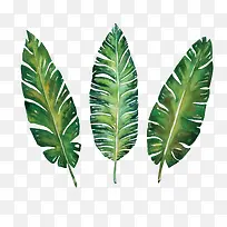 水彩叶子免抠素材-空若网 水彩叶子免抠素材-空若网