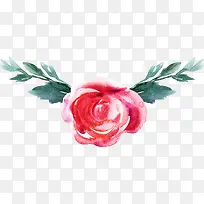 Ë®²ÊÊֻ滨¶äÒ¶×Ó-¿ÕÈôÍø Ë®²ÊÊֻ滨¶äÒ¶×Ó-¿ÕÈôÍø