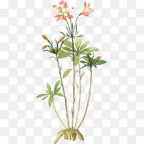 �ֻ滨-������