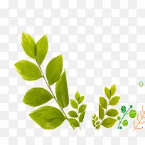 水彩叶子-空若网 水彩叶子-空若网