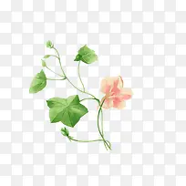 手绘花-空若网 手绘花-空若网