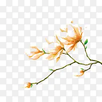 �ֻ滨֦-������