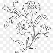 �ֻ�ֲ��-������