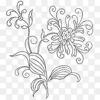 手绘植物-空若网 手绘植物-空若网