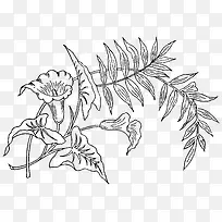 手绘植物-空若网 手绘植物-空若网