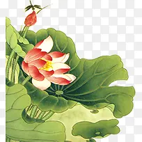 绿色水彩荷叶荷花-空若网 绿色水彩荷叶荷花-空若网