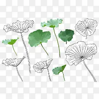 �ֻ��Ҷ-������