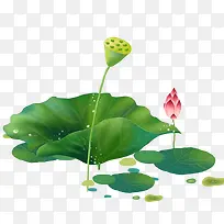 卡通手绘水彩荷叶-空若网 卡通手绘水彩荷叶-空若网