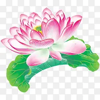 荷花荷叶免扣素材-空若网 荷花荷叶免扣素材-空若网