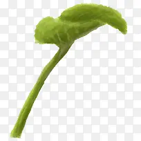 ��ɫ�����ֻ��Ҷ-������