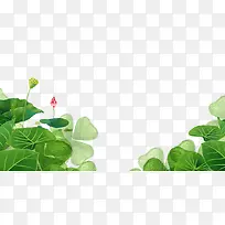 ��ͨ��ɫˮ�ʺ�Ҷ����-������