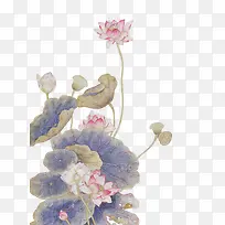 ˮ��Ч����ɫ�ĺ�Ҷ-������